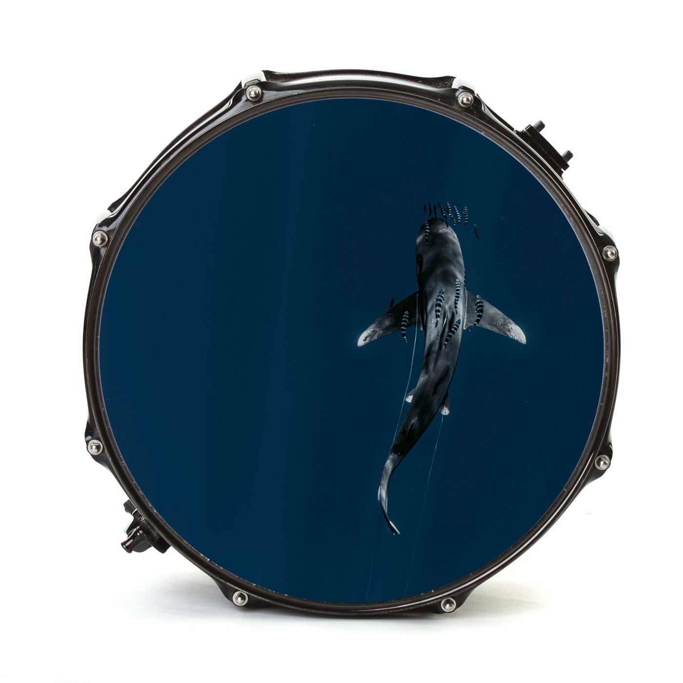 Bassdrumfell-Aufkleber mit Shark-Design